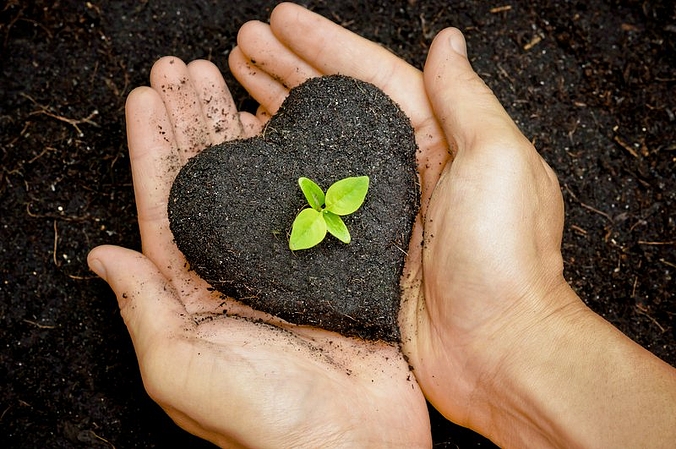 VI niedziela zwykła, 15 lutego 2026